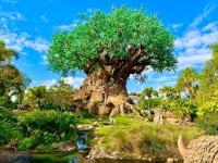 The Tree of&nbsp;Life